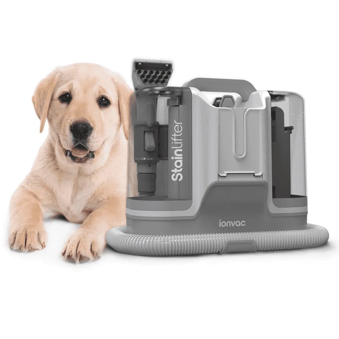 Ionvac Quitamanchas Portátil Máquina Limpiadora de Alfombras, Limpiador de Manchas de Mascotas con Succión de 12 kPa y Manguera de 4 Ft., Modelo #8908