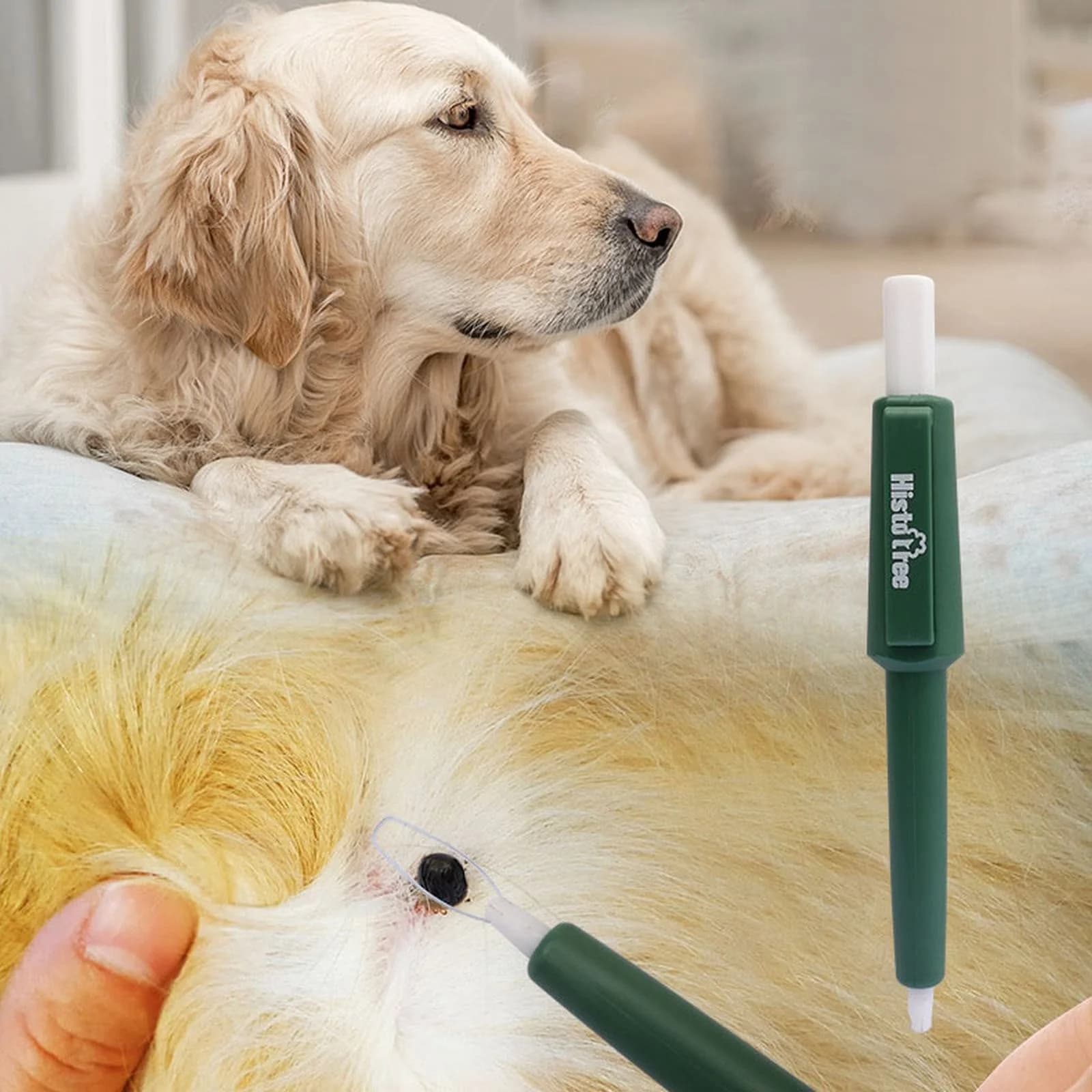 Pet Care Tool for Cats and Dogs Tick and Lice Removal for Capturing Pen for and Ticks,4.56 inch,Green
